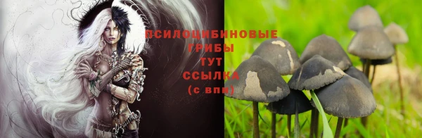спиды Абаза