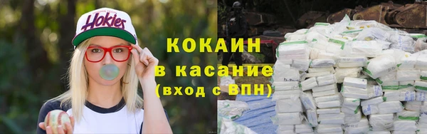 прущие крисы Пересвет