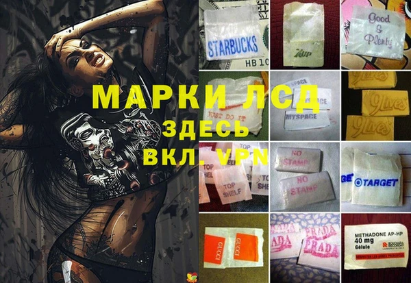 спиды Абаза