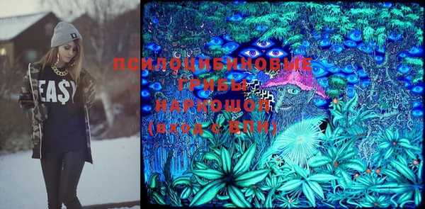 спиды Абаза