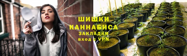 apvp Пестово