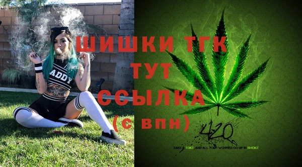 спиды Абаза